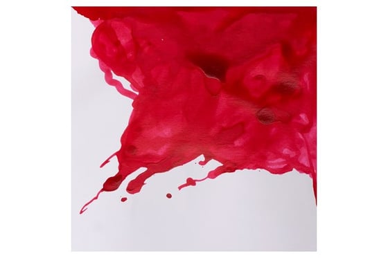 Drawing Ink 14ml Carmine 127 ⎮ 94376896442 ⎮ VE_832710