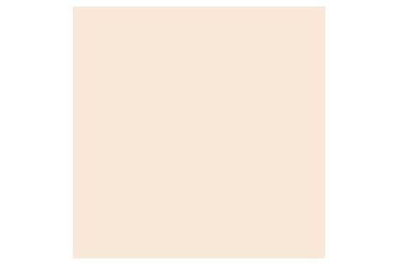 Promarker Almond O819 ⎮ 884955041024 ⎮ VE_831993