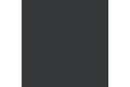 Black glaze 17ml ⎮ 8429551708555 ⎮ VE_422783