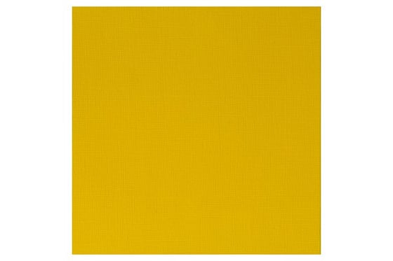 Prof Acrylic 60ml Azo Yellow Medium 019 ⎮ 5012572010894 ⎮ VE_831144
