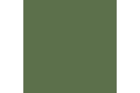 German cam. bright green mat 17ml ⎮ 8429551708333 ⎮ VE_422762