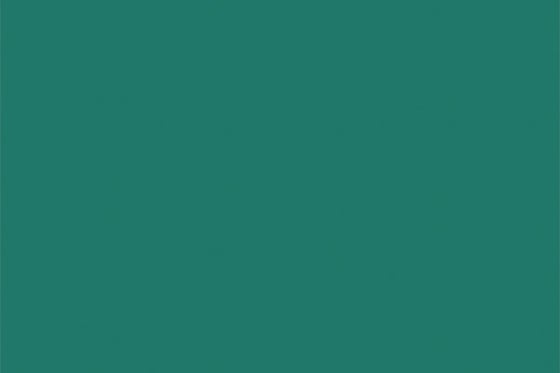 Model Air 17ml light green RLM25 ⎮ 8429551712675 ⎮ VE_452310