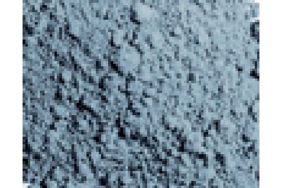 Pigments light slate grey 35ml ⎮ 8429551731133 ⎮ VE_437635