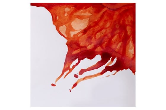 Drawing Ink 14ml Burnt Sienna 074 ⎮ 94376896466 ⎮ VE_832712