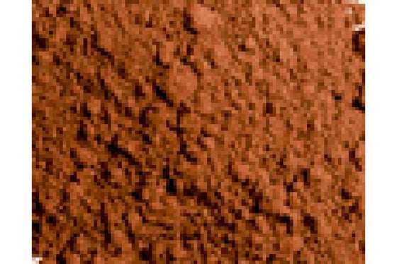 Pigments dark red ochre 35ml ⎮ 8429551731072 ⎮ VE_437629