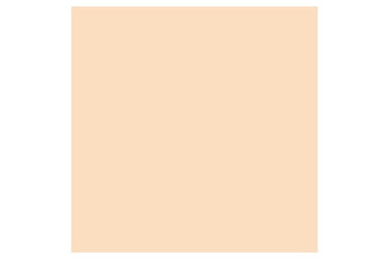 Promarker Blush O729 ⎮ 884955041185 ⎮ VE_832009