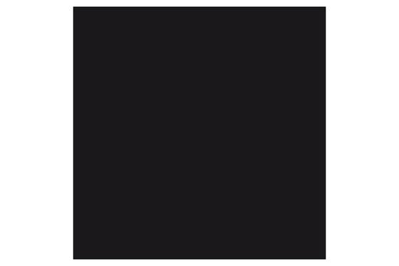 Winsor Pigment Marker Black 030 ⎮ 884955040867 ⎮ VE_831989