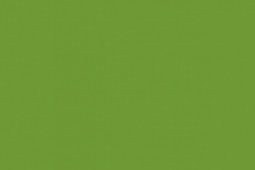 Lime 22ml ⎮ 5708964970326 ⎮ VE_430426