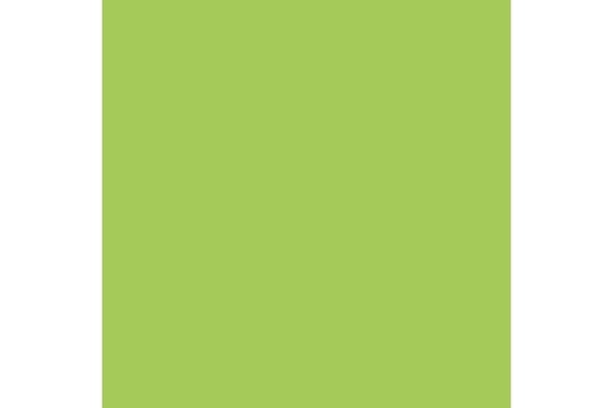 Mecha Color- Green Fluorescent 17 ml. ⎮ 8429551690577 ⎮ VE_452546