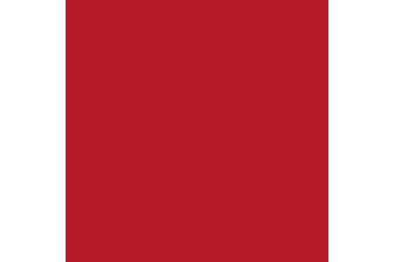Carmine red mat 17ml ⎮ 8429551709088 ⎮ VE_422836
