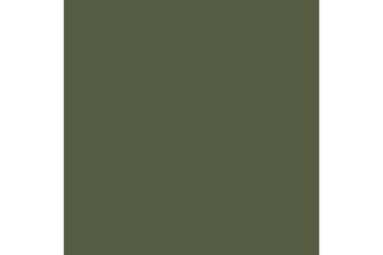 Model Air 17ml green RLM62 ⎮ 8429551711043 ⎮ VE_441747