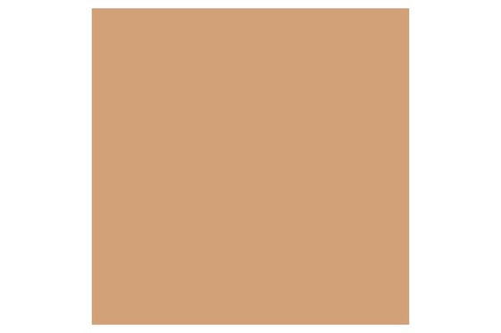 Promarker Cinnamon O427 ⎮ 884955041338 ⎮ VE_832024