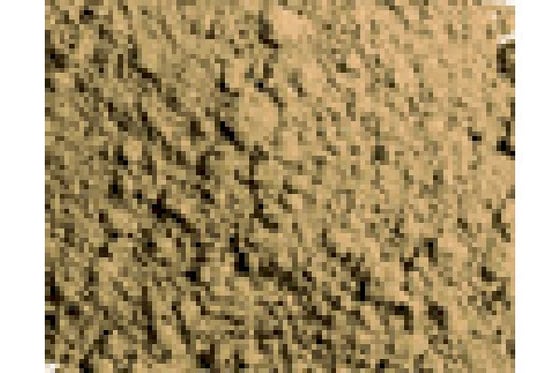 Pigments dark yellow ochre 35ml ⎮ 8429551731034 ⎮ VE_437625
