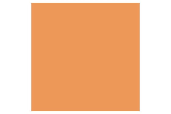 Promarker Ginger O136 ⎮ 884955041550 ⎮ VE_832046