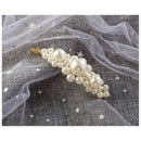 Everneed Hårspænde 1 stk Snaphårspænde Metal, Plast ⎮ 1348100241350 ⎮ EV_000881