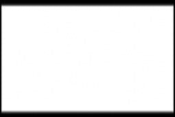 Matt White (Flat) 22ml ⎮ 5708964970142 ⎮ VE_430414