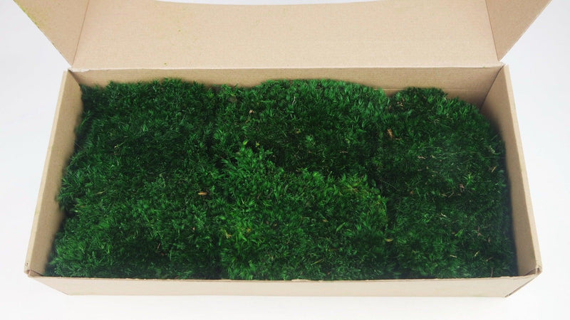 Krist - kunstig Moskasse 29 x 21 cm mørkegrøn