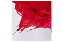 Drawing Ink 14ml Carmine 127 ⎮ 94376896442 ⎮ VE_832710 