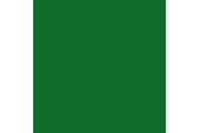 Goblin green 17ml ⎮ 8429551727303 ⎮ VE_452133 