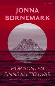 Horisonten finns alltid kvar : om det bortglömda omdömet 1 stk