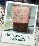 Grow It Fiberpotter Firkantet 6cm 20pk