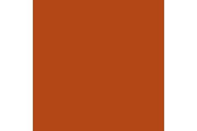 Parasite brown 17ml ⎮ 8429551720427 ⎮ VE_422974 