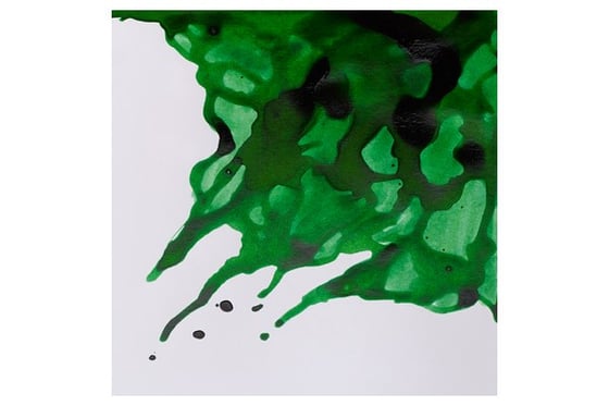 Drawing Ink 14ml Brilliant Green 046 ⎮ 94376899894 ⎮ VE_832716 