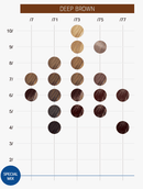 Wella Professionals Color Touch Deep Browns 8/73 - 60 ml