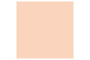 Brush Marker Dusky Pink   O518 ⎮ 884955042700 ⎮ VE_832161 