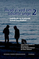 Hvad vi ved om udsatte unge 2