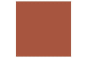 Promarker Burnt Umber  R646 ⎮ 884955041246 ⎮ VE_832015 