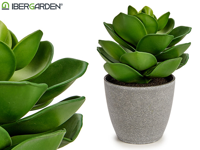 Ibergarden - Kunstig plante med tykke blade 23x12cm