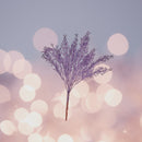 Mellem Træ Blomstegrene - Lilla